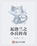 瓦洛兰之盾皮肤
