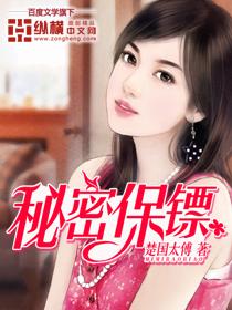 秘密保镖完整版