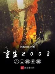重生2008全文阅读