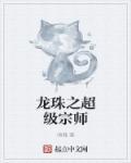 龙珠之超级宗师免费全文阅读