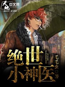 绝世小神医宁凡全集完整版