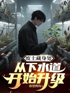 废土藏身处从下水道开始升级类似的