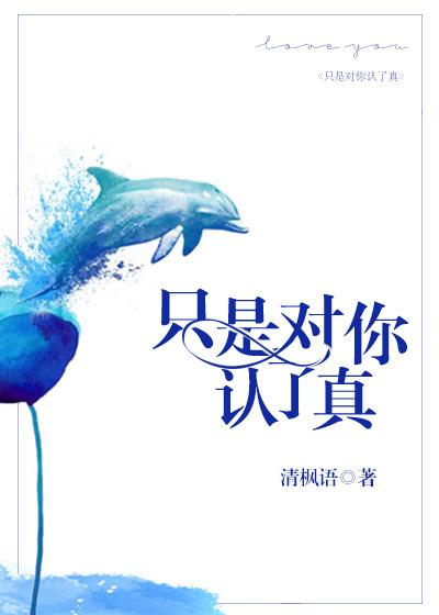 只是对你认了真原著