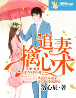 追妻系列