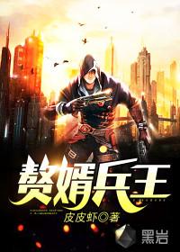 兵王赘婿排行榜