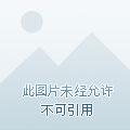 乡村神农林玉茹谁演的