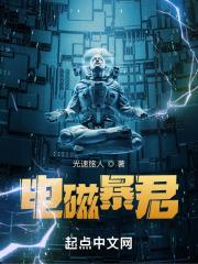 电磁风暴最新版