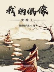 我的偶像失踪了英语作文