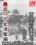 完本的北洋最后一个军阀的
